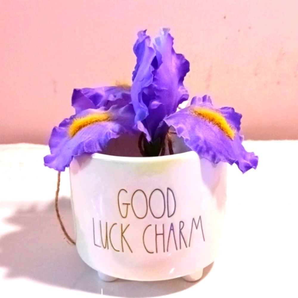 Beautiful! Rae Dunn "Good Luck Charm" Artisan Collection Cup